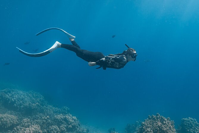 Kaimana Kealakekua Bay Captain Cook Adventure - My Booking Advice: Should You Book This Kealakekua Bay Tour?