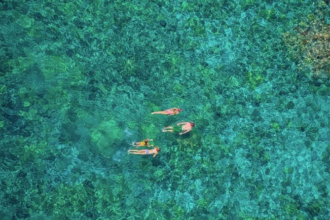 Kealakekua Bay Afternoon Snorkel: Family Fun on the Kona Coast - Slides, snacks, and the onboard flow that keeps kids happy