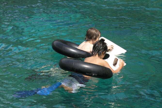 Kealakekua Bay Afternoon Snorkel: Family Fun on the Kona Coast - Price and value: what $143.93 buys you