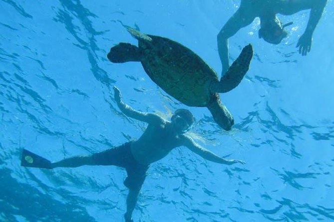 Kealakekua Bay Captain Cook Snorkel Exclusive - Kealakekua Bay in about 3 hours: what makes this work