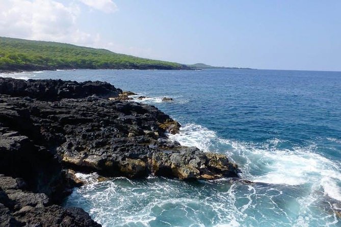 Kealakekua Bay Captain Cook Snorkel Exclusive - Price and value: is $124.87 worth it?