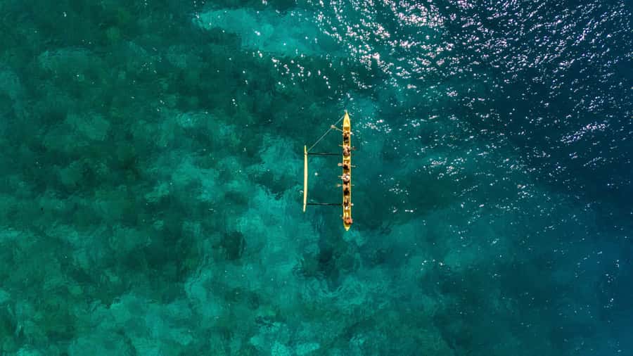 Kealakekua Bay: Outrigger Canoe Ride with Cultural Insights - Key Points Worth Knowing Up Front