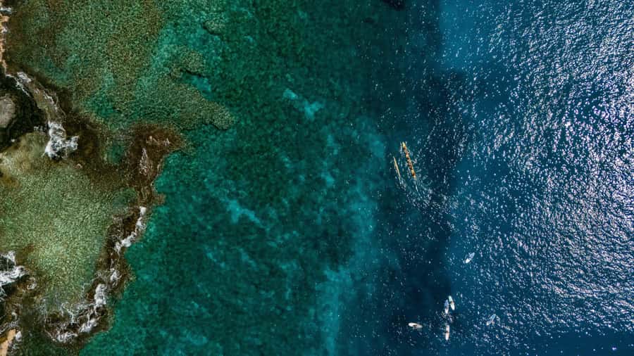 Kealakekua Bay: Outrigger Canoe Ride with Cultural Insights - Price and Value: Is $72 for One Hour Fair?