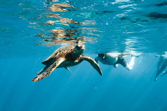 Kealakekua Bay Snorkel & Dolphin Safari In Kona Big Island (4hrs) - The snorkeling part: gear, spacing, and what the guides actually do