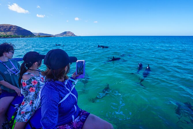 Kealakekua Bay Snorkel & Dolphin Safari In Kona Big Island (4hrs) - Dolphin safari in deeper water: what you’re searching for