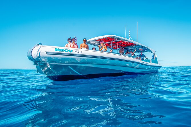 Kealakekua Bay Snorkel & Dolphin Safari In Kona Big Island (4hrs) - Price and value at $150: where your money goes