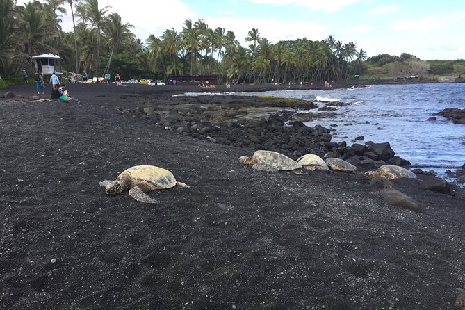 Kilauea Summit to Shore from Kona: Small Group - Hawaii Volcanoes National Park: Kīlauea summit caldera and what to look for