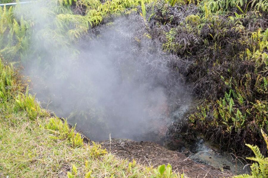 Kilauea: Volcanoes National Park Guided Hike - What You Actually Learn: Geology, Ecology, and Hawaiian Connections