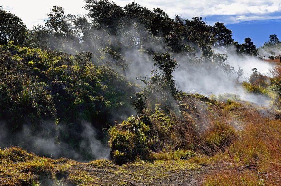 Kilauea: Volcanoes National Park Guided Hike - Volcano House After the Hike: Meal, Bar, and a View Reset