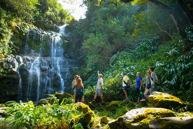 Kohala Waterfalls Small Group Adventure Tour - Why North Kohala Works Better With a Small Van