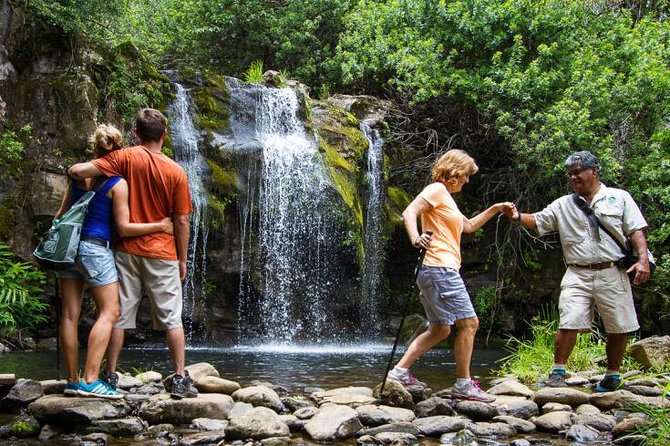Kohala Waterfalls Small Group Adventure Tour - Stop 3: Kohala Zipline Convenience Stop (restrooms and a short reset)
