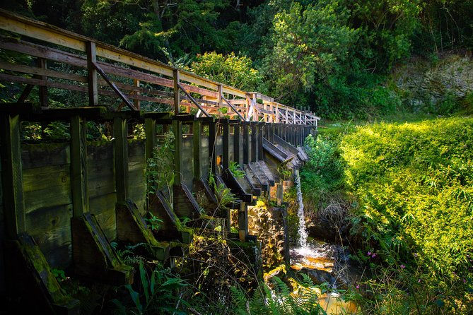Kohala Waterfalls Small Group Adventure Tour - Lunch at Mokulanikila: when ocean views do the heavy lifting