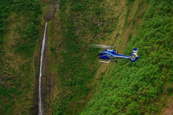 Kohala Waterfalls & Valleys Helicopter Tour - Price and what makes it feel like value