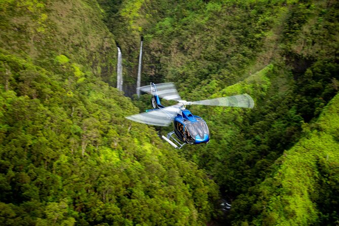 Kohala Waterfalls with Exclusive Landing Helicopter Tour - The Small-Group Setup and Pilot Headsets: Comfort That Actually Matters