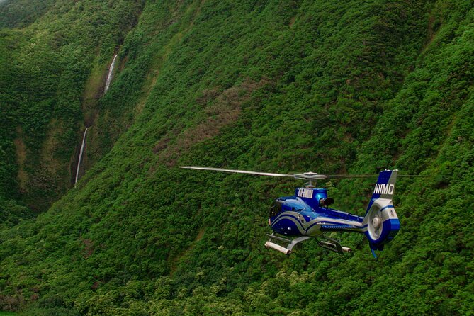 Kohala Waterfalls with Exclusive Landing Helicopter Tour - Your 20–25 Minutes by the Waterfall: How to Get Great Shots