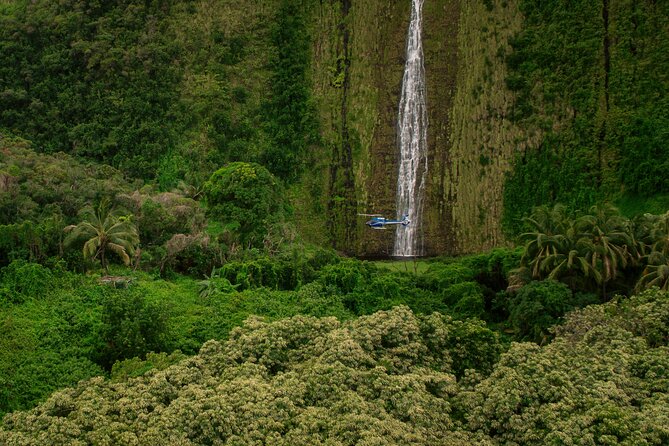 Kohala Waterfalls with Exclusive Landing Helicopter Tour - Who This Tour Fits Best (and Who Might Want Another Option)