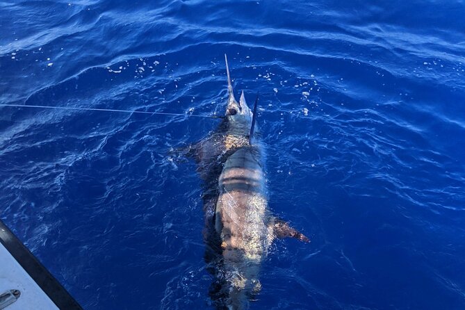 Kona - 5 Hours Private Fishing Charter in Kailua-Kona - Spot selection and the captain’s playbook: the real secret sauce