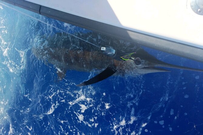 Kona - 5 Hours Private Fishing Charter in Kailua-Kona - Value check: $895 per group—worth it if you book with the right mindset