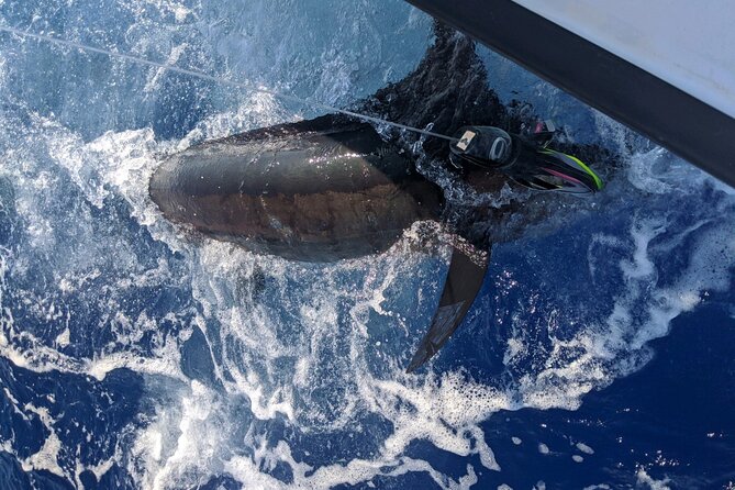 Kona - 5 Hours Private Fishing Charter in Kailua-Kona - Should you book this private Kona fishing charter?