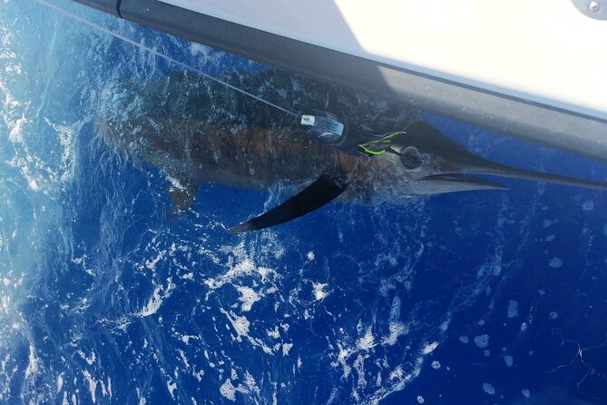 Kona - 6 Hour Private Fishing Charter Kona, Hawaii - Private Kona time at Manta Adventures Marina