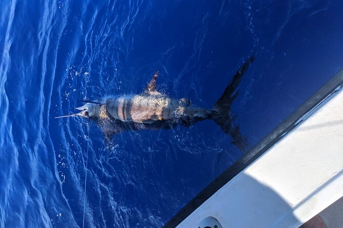 Kona - 6 Hour Private Fishing Charter Kona, Hawaii - Trolling for big game, plus bait-and-drift when it fits