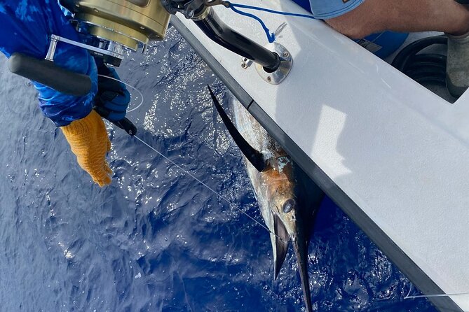 Kona - 8 Hour Private Fishing Charter in Kailua-Kona, Hawaii - Meeting Point at Manta Adventures: Start Strong, Not Late