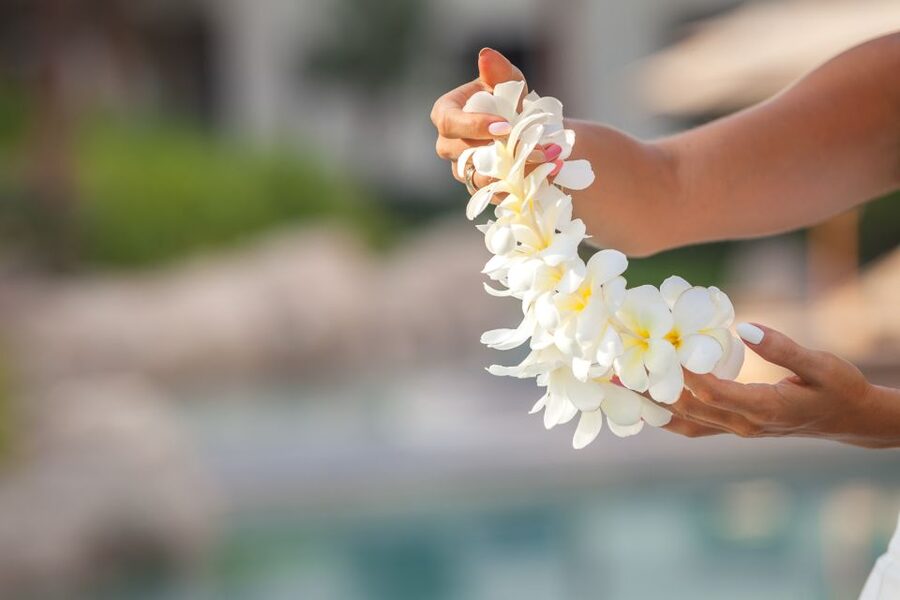 Kona Airport Custom Lei Greeting - Choose Your Lei - Key things that make this lei greeting worth it