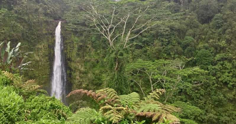 Kona: Big Island Big Volcano Adventure - Into Hilo and then straight to Kilauea country