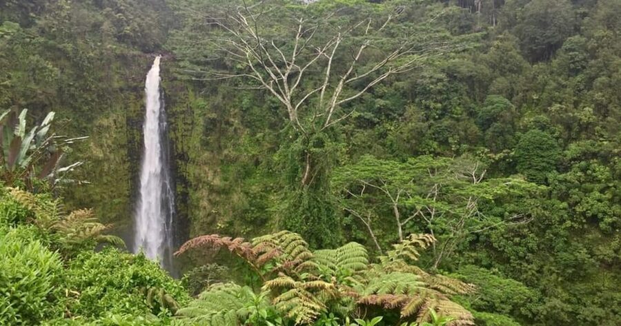 Kona: Big Island Big Volcano Adventure - Saddle Road return: Mauna Kea and Mauna Loa at different elevations