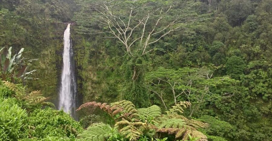 Kona: Big Island Big Volcano Adventure - Who this tour is best for