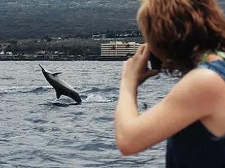 Kona: Captain Cook Snorkel Tour - Who this tour is best for (and who should think twice)