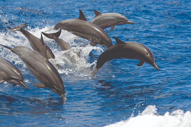 Kona Catamaran Snorkel Sail with Lunch - The 10:00 am Start: How the 3 Hours Feel in Real Time
