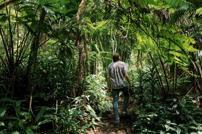 Kona Cloud Forest Sanctuary Montane Jungle Tour (2.5 hrs) - Key things you’ll care about before you go