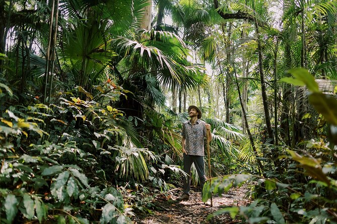 Kona Cloud Forest Sanctuary Montane Jungle Tour (2.5 hrs) - Stop at the Kona Cloud Forest Sanctuary: what you’ll see and why it’s not just pretty