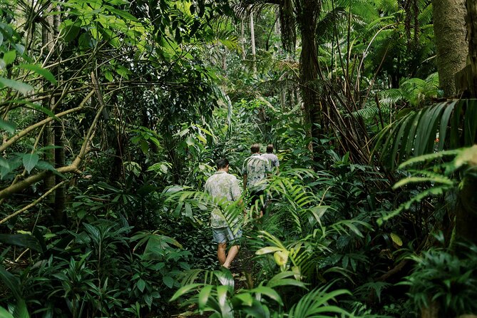 Kona Cloud Forest Sanctuary Montane Jungle Tour (2.5 hrs) - The guide factor: what makes the experience click