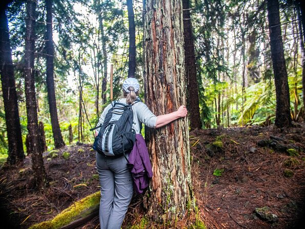 Kona Cloud Forest Sanctuary Pantropical Tour (1.5 hrs) - Key things I’d remember before you go