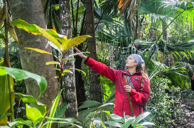 Kona Cloud Forest Sanctuary Pantropical Tour (1.5 hrs) - Terrain, shoes, and weather: what to bring (and what’s not included)