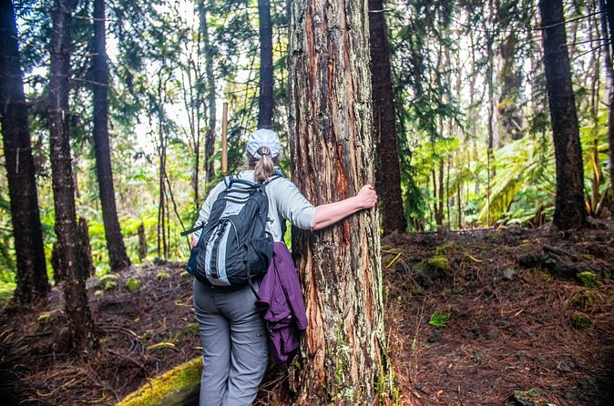 Kona Cloud Forest Sanctuary Pantropical Tour (1.5 hrs) - Who this Kona cloud forest tour suits best