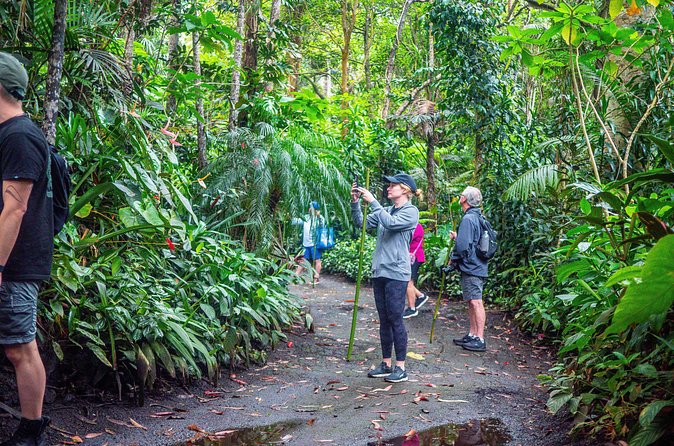 Kona Cloud Forest Sanctuary Pantropical Tour (1.5 hrs) - Should you book the Kona Cloud Forest Sanctuary tour?
