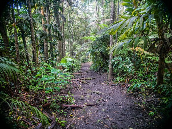 Kona Cloud Forest Sanctuary Pantropical Tour (1.5 hrs) - FAQ
