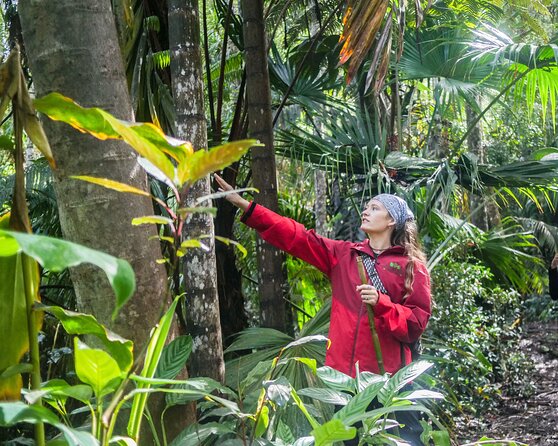 Kona Cloud Forest Sanctuary Pantropical Tour (1.5 hrs) - Stop one: the trailhead experience and how the timing works