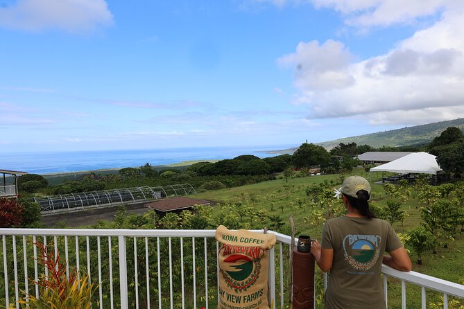 Kona Coffee Farm Tour from Tree to Tasting Room - Walking the coffee rows: what you learn in the first stretch