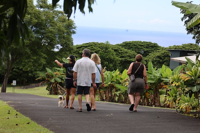 Kona Coffee Farm Tour from Tree to Tasting Room - The fruit-farm bonus: why it’s more than a coffee lecture