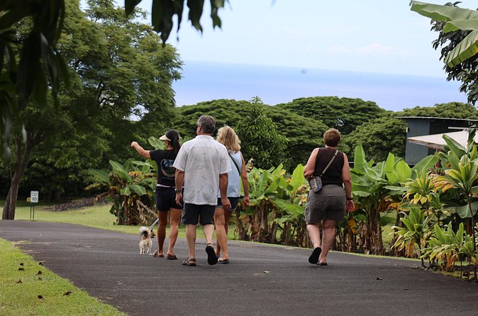 Kona Coffee Farm Tour from Tree to Tasting Room - Guide styles: why small groups make a difference