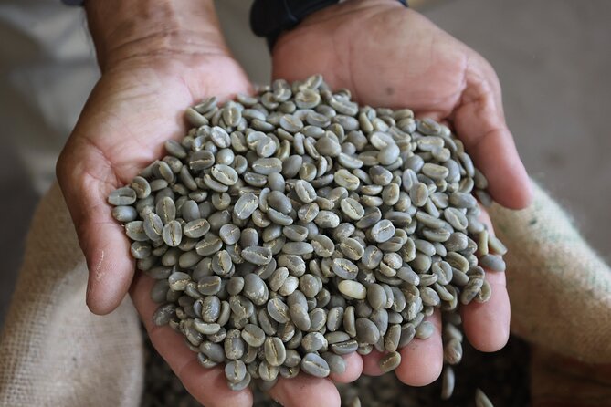Kona Coffee Farm Tour from Tree to Tasting Room - Price and value: what $5 per group really buys you