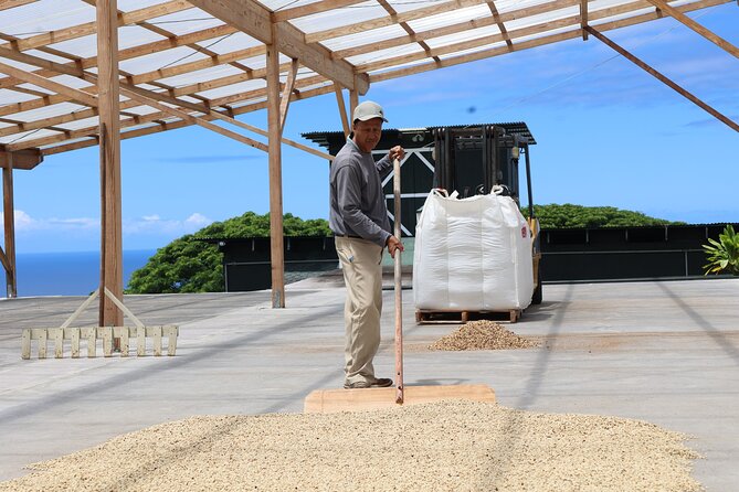 Kona Coffee Farm Tour from Tree to Tasting Room - The mill and drying facility: where you see coffee become a product