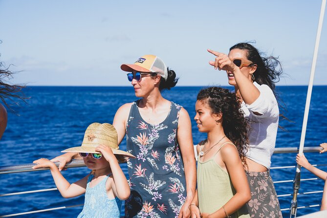 Kona Deluxe Catamaran Whale Watch - Best Timing on Big Island: When to Go and What to Watch for