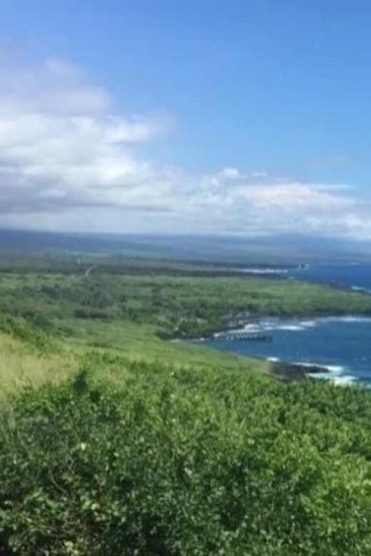 Kona: Kilauea Summit to Shore - Punaluu Black Sand Beach: sea turtles without the rush