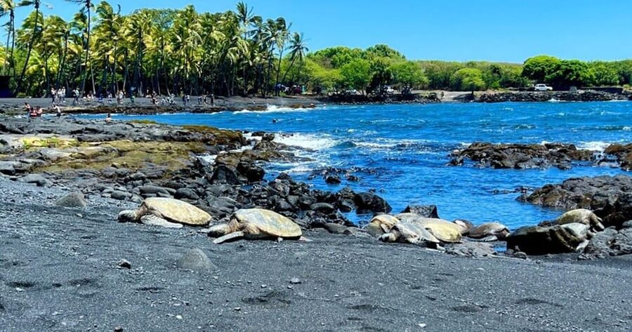 Kona: Kilauea Summit to Shore - Should you book the Kona: Kilauea Summit to Shore tour?