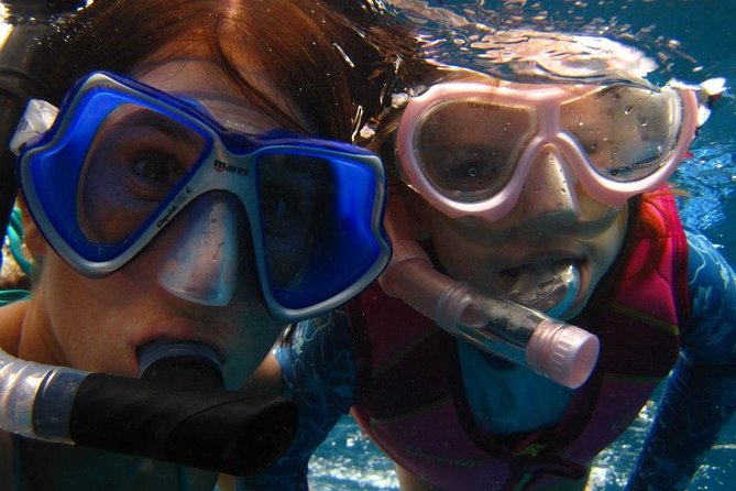 Kona Luxury Catamaran Yacht Snorkel & Sail - Wildlife watching with Dolphin SMART: what responsible viewing changes
